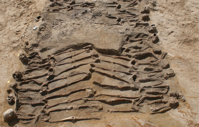 1636 ihre letzte Schlacht » Massengrab von Wittstock