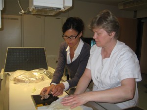 Rehbock-Website Dr. Beate Rehbock